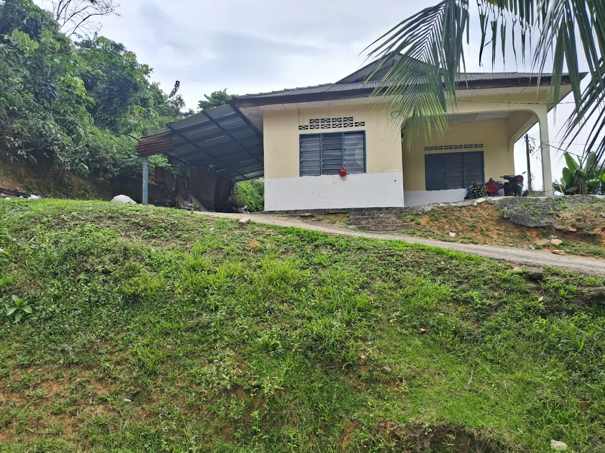 Orchard Land + 4 Houses 2/7