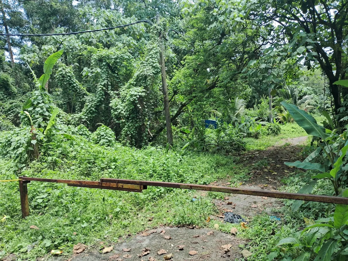 Bungalow Land 2/2