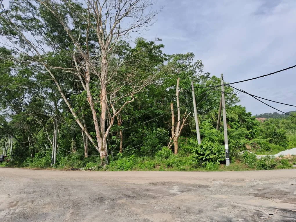 Agricultural Land, 2.5 acres 2/2