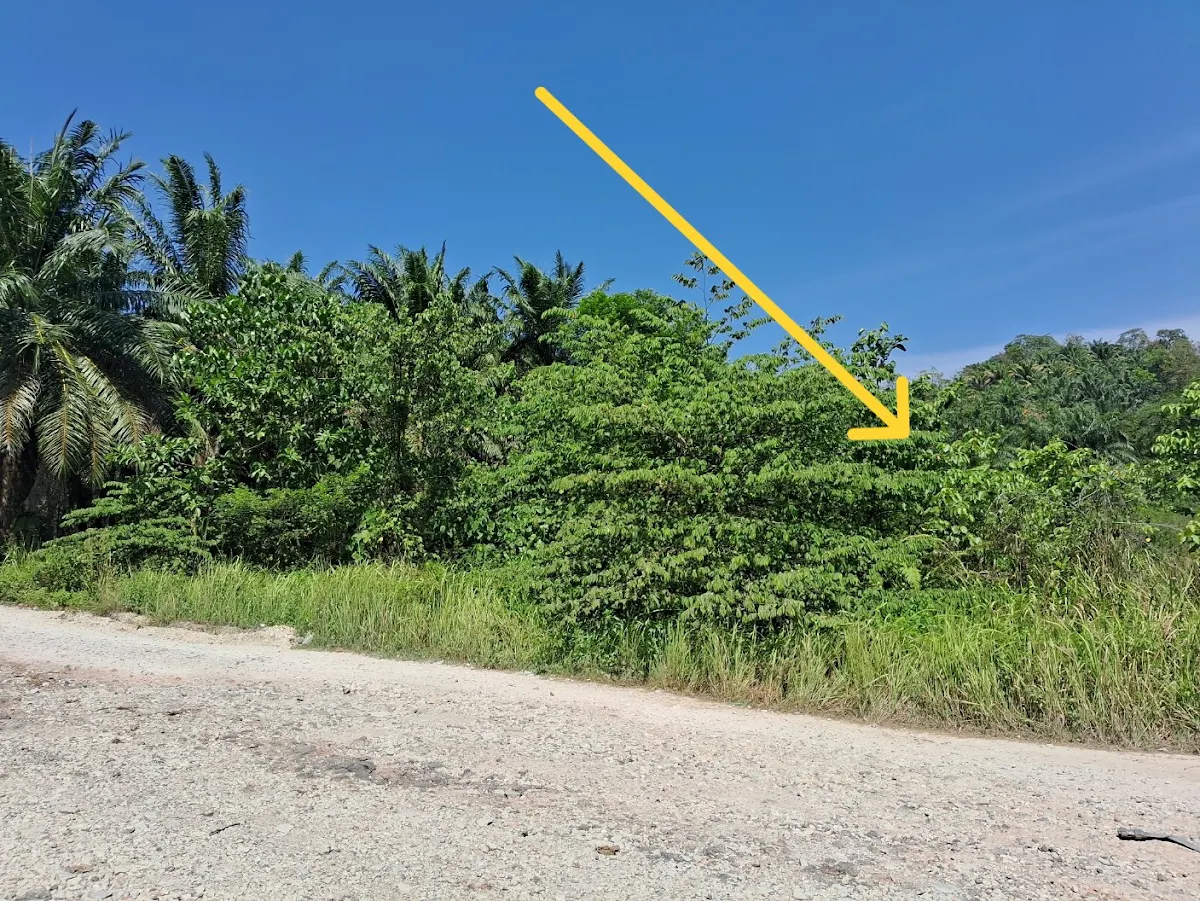 Agricultural Land, 6 acres 2/3