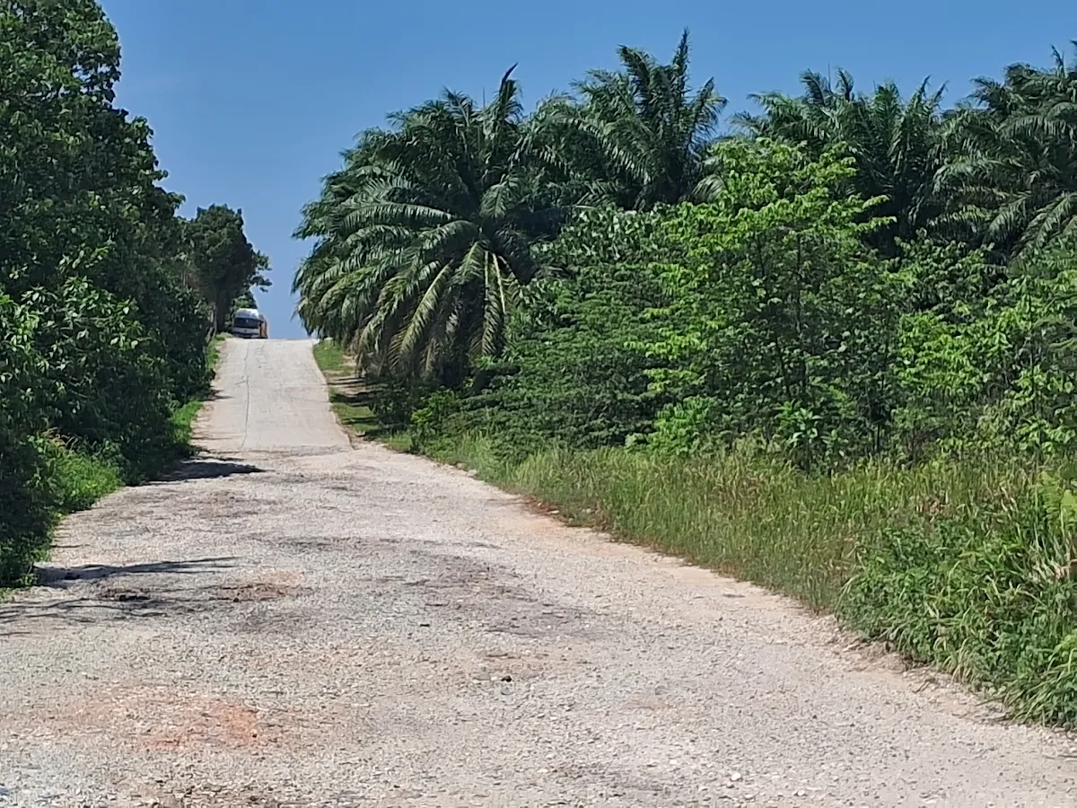 Agricultural Land, 6 acres 3/3