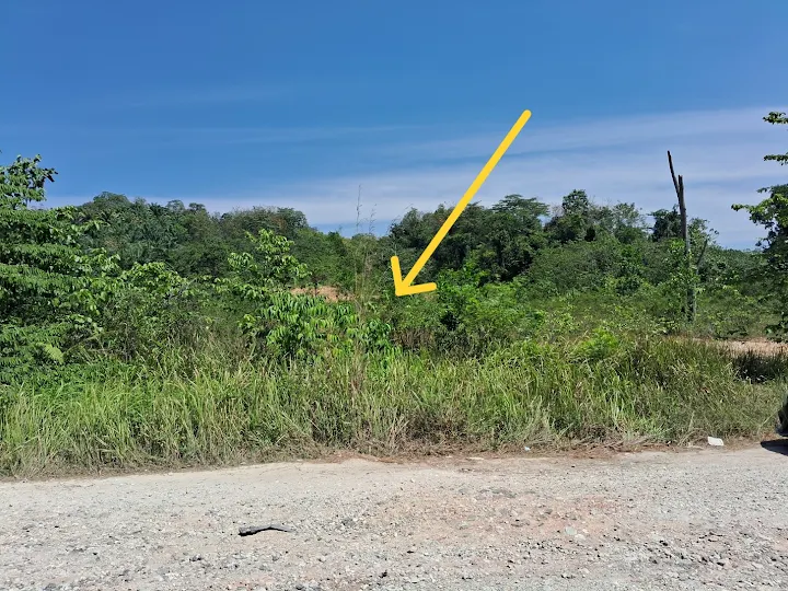 Agricultural Land, 6 acres